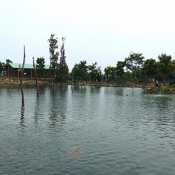 暑いけど釣れる ～フィッシングパーク高島の泉～